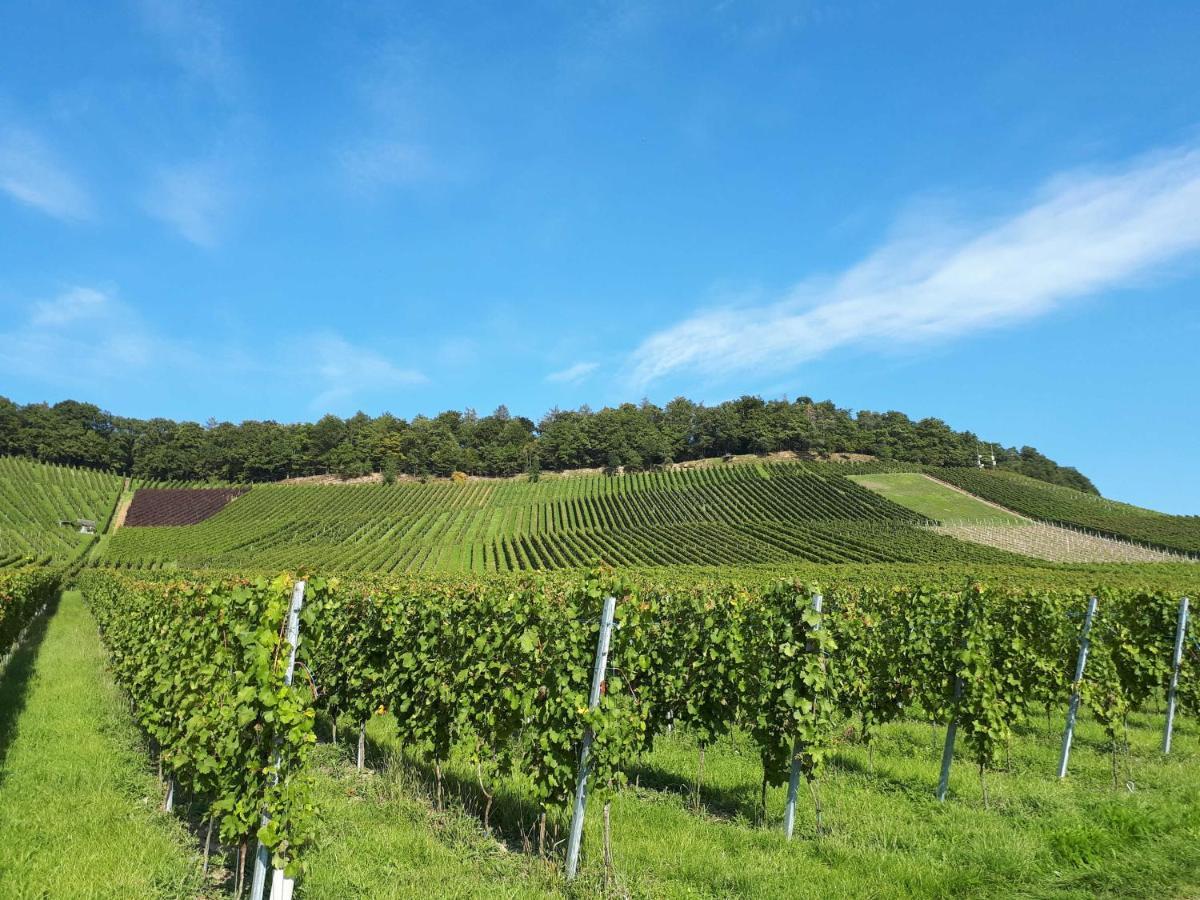 Weinlodge Am Geissberg Eberstadt Luaran gambar