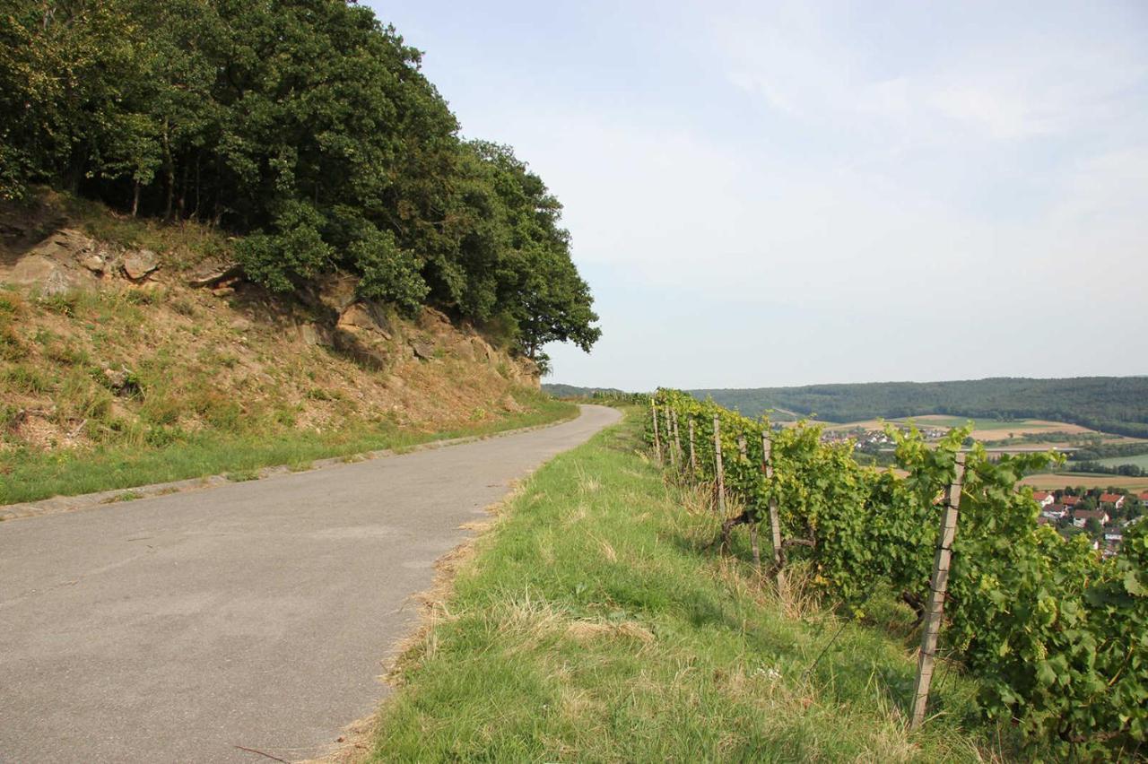 Weinlodge Am Geissberg Eberstadt Luaran gambar